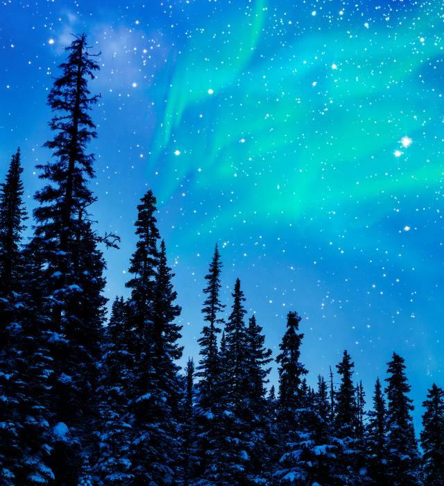 เวทมนตร์จากธรรมชาติ ที่เห็นได้ด้วยตาตัวเอง🌌