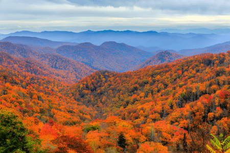 Great Smoky Mountains National Park