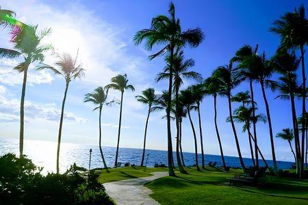 Sea Island Beach