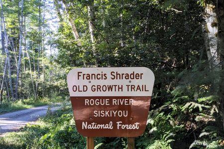 Frances Shrader Old Growth Trailhead