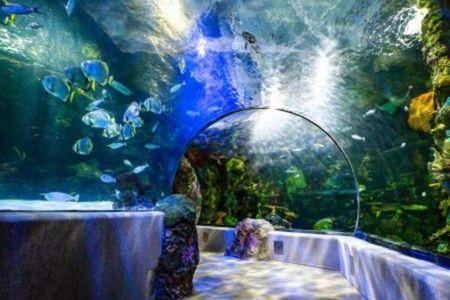Virginia Aquarium & Marine Science Center