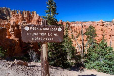 Peekaboo Loop, Hat Shop, And Under-The-Rim Trail Trailhead