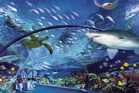 Ripley's Aquarium of Myrtle Beach