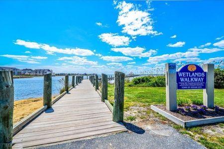 Wetlands Walkway