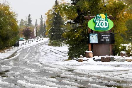 Alaska Zoo