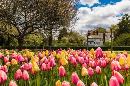 Stevens-Coolidge House & Gardens