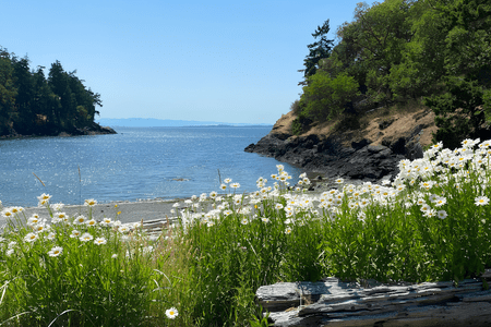 San Juan Islands Sculpture Park & Nature Reserve