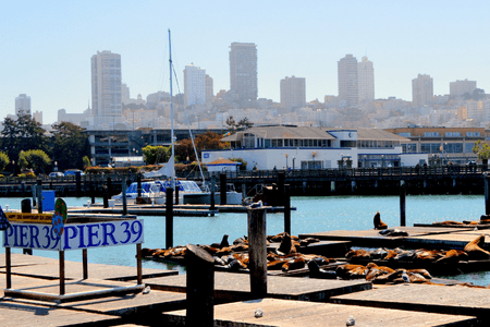 PIER 39