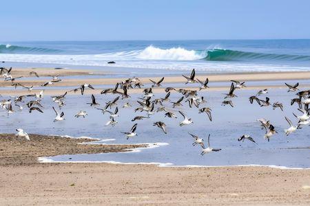 Cape Cod National Seashore