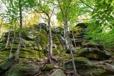Ledges Overlook