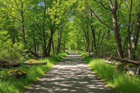 Marblehead Rail Trail