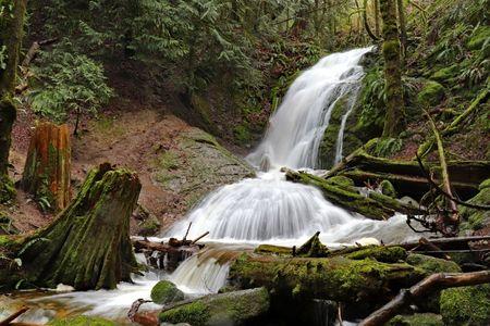 Coal Mines Trail