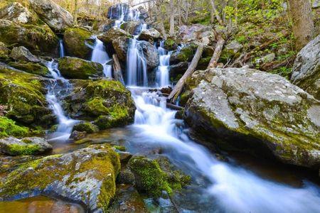 Shenandoah National Park