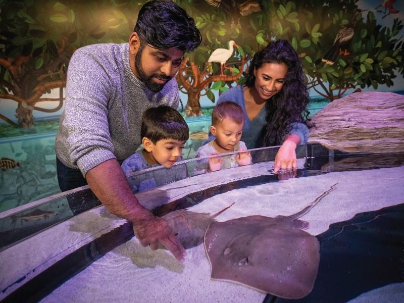 Aquarium of Niagara