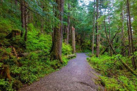 Tongass National Forest