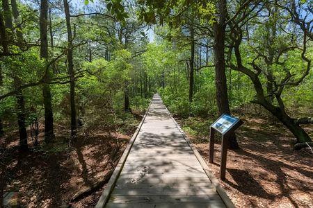 Currituck Banks Reserve