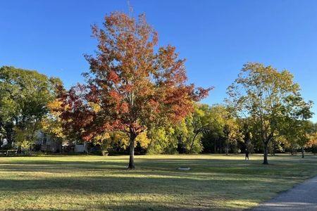 Terry Hershey Park