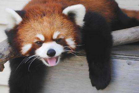 Red River Zoo