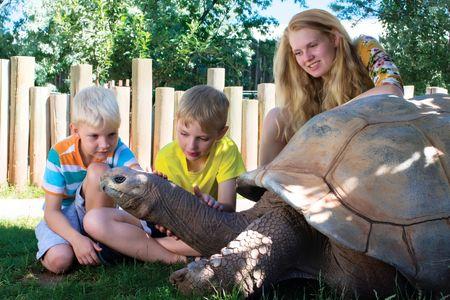 Reptile Gardens