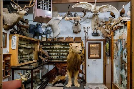 Guntzviller's Spirit of the Woods Museum