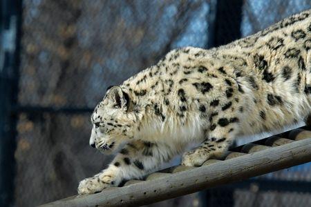 Dakota Zoo