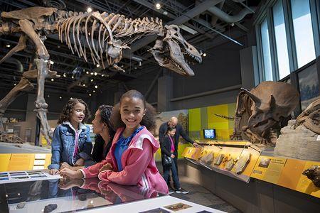 Dickinson Museum Center & Badlands Dinosaur Museum