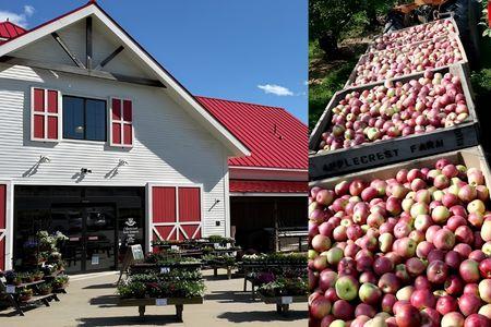 Applecrest Farm Orchards