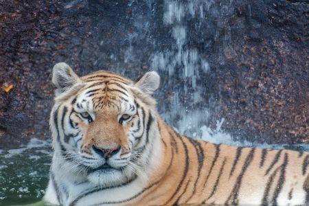 Alabama Gulf Coast Zoo