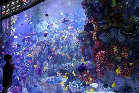 New England Aquarium