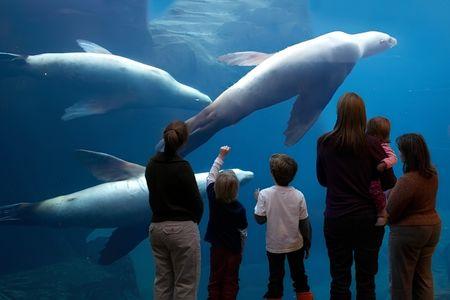 Alaska SeaLife Center
