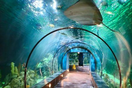 Aquarium At Moody Gardens