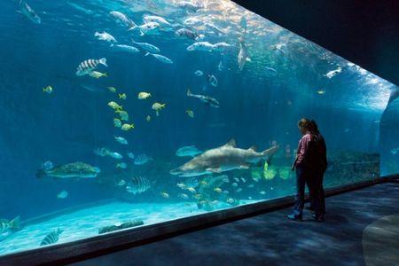 North Carolina Aquarium on Roanoke Island