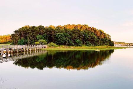 Uncle Tim's Bridge (Photo by: Holbrookoyster)