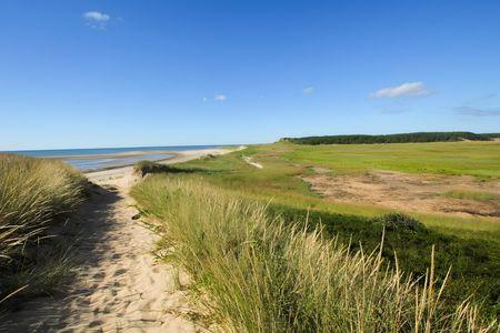 Great Island Trail