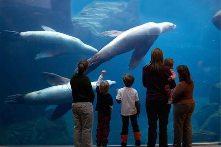 Alaska SeaLife Center