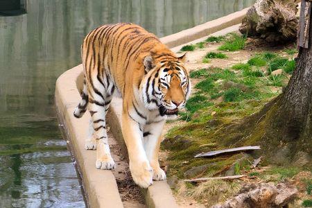 Smithsonian National Zoological Park