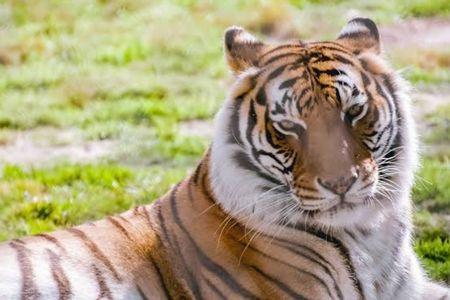 Alabama Gulf Coast Zoo