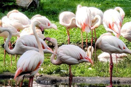 Detroit Zoo