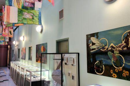 Bohart Museum of Entomology