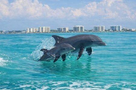 Destin