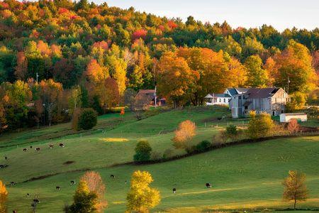 Upper Valley