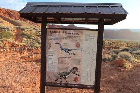 Warner Valley Dinosaur Track Site